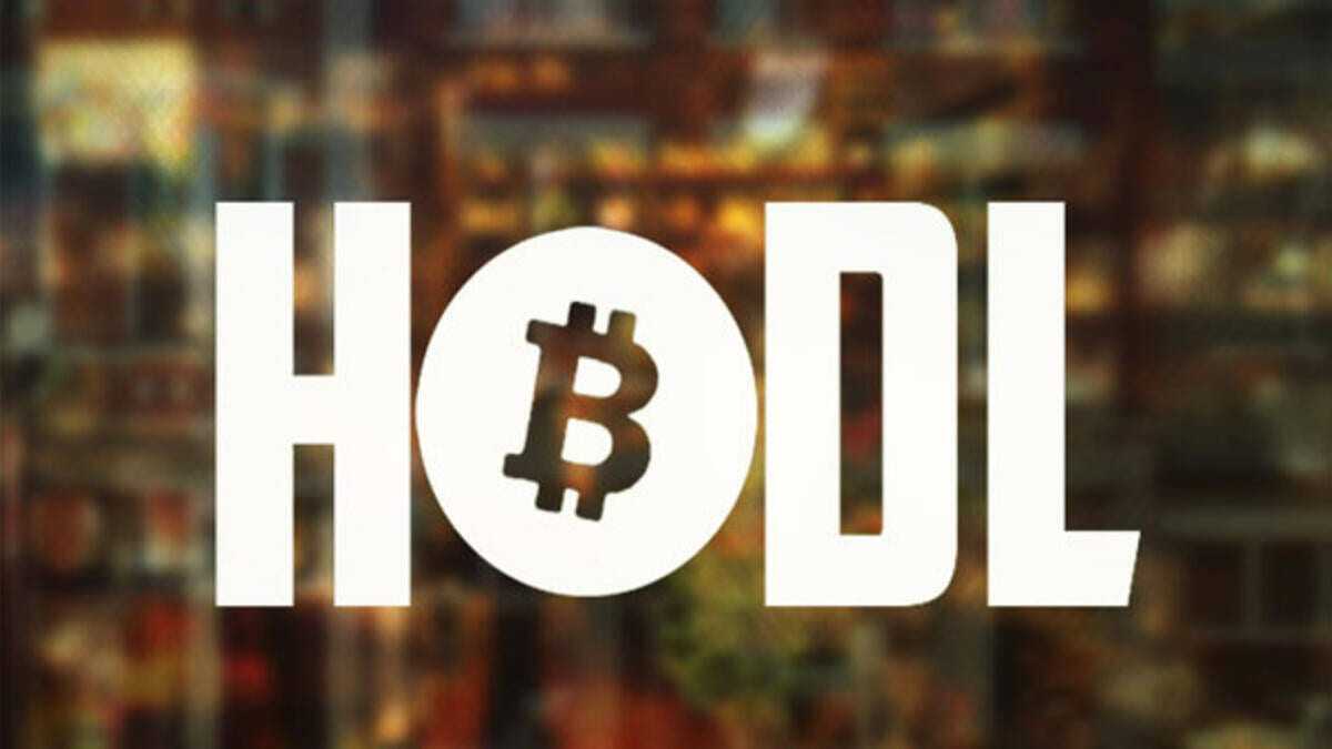 Hodling Nedir?