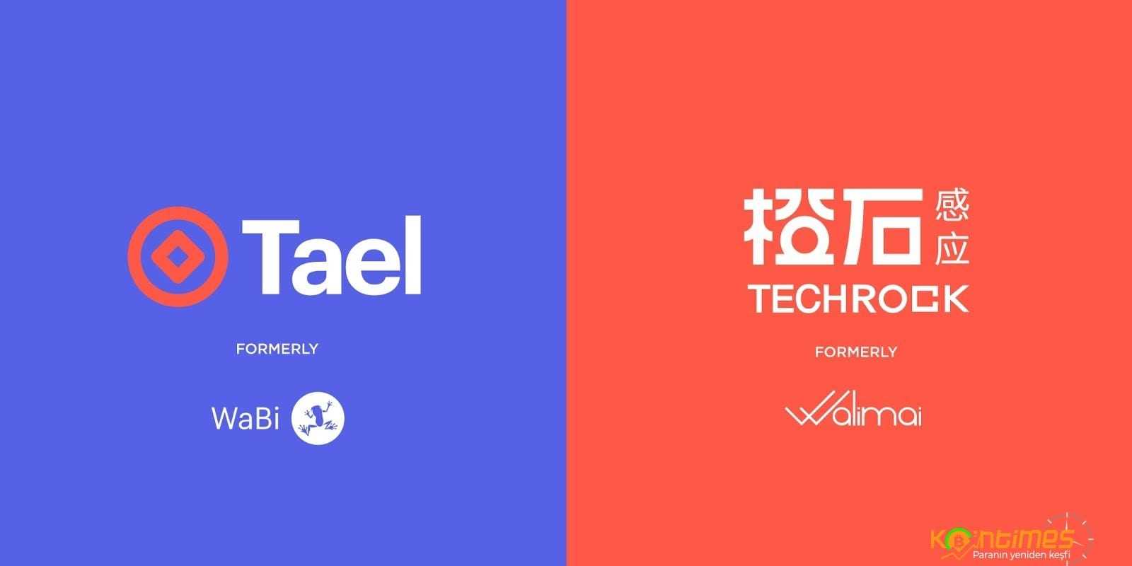 Tael (Wabi) Coin Nedir? Nasıl Satın Alınır?