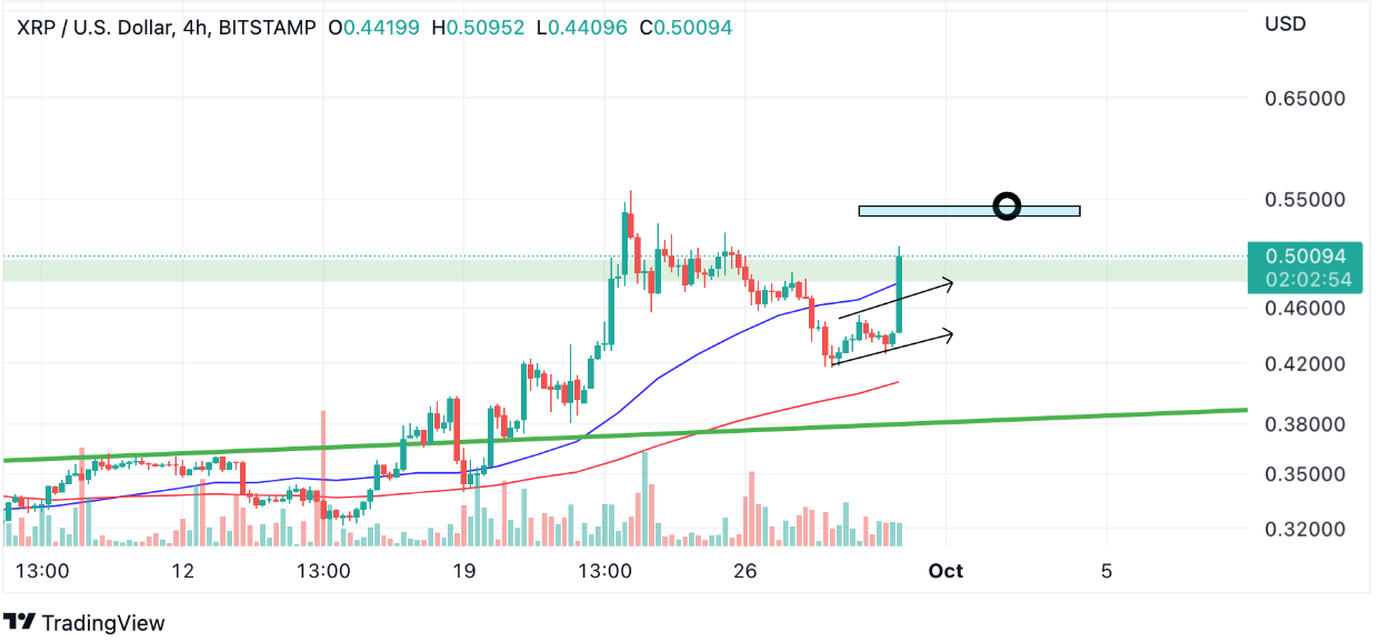 xrp.png