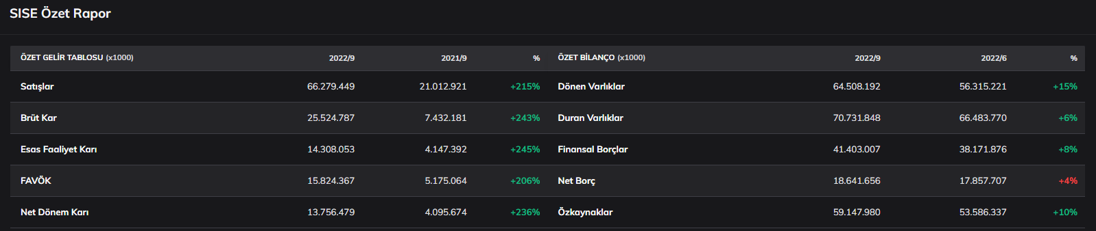 sise-hisse-finansal-tablo.png