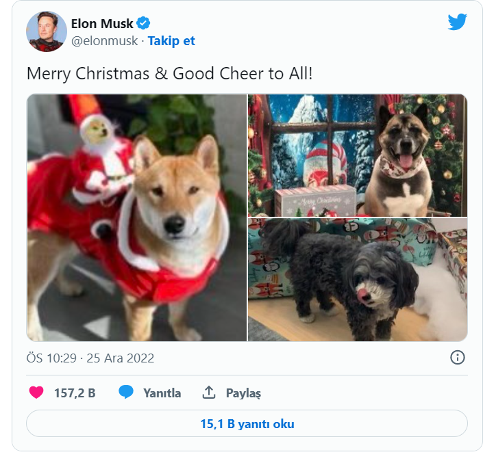 dogecoin-doge-elon-musk.png