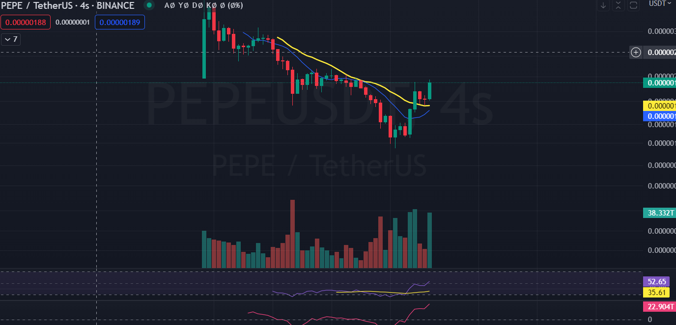 2023/05/13/pepe-coin-binance.png
