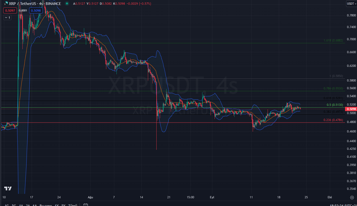 ripple.png