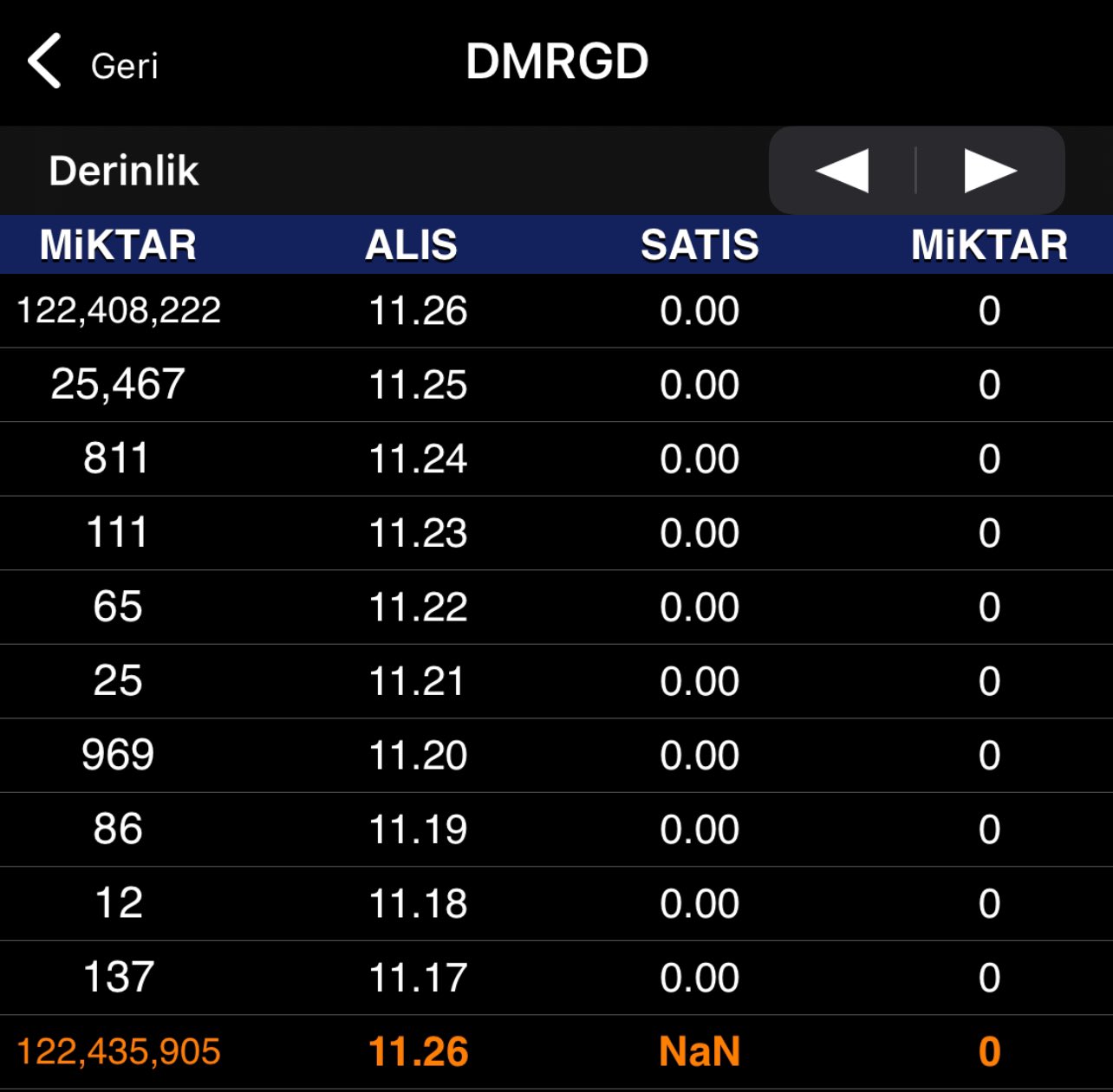 dmr.jpg